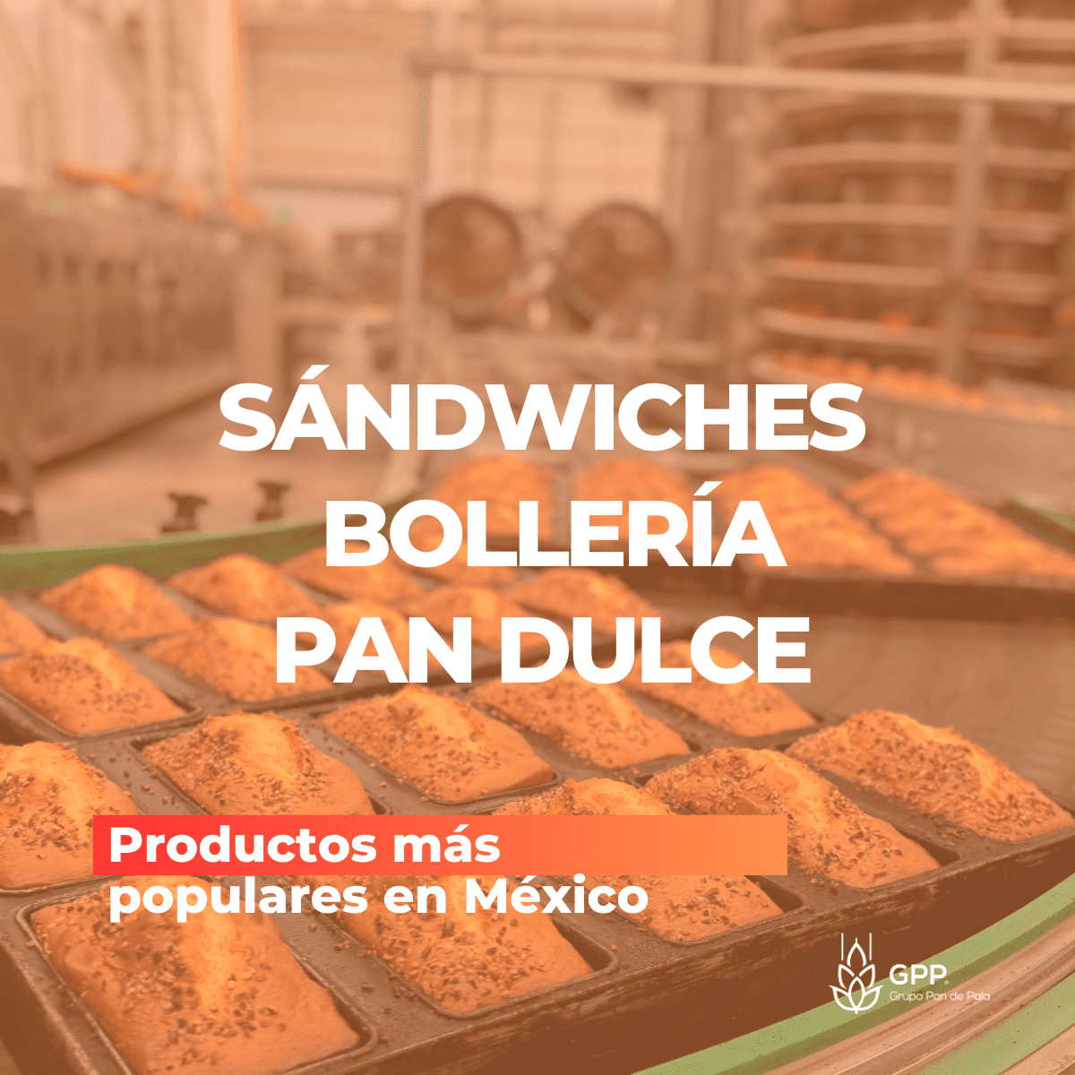 MERCADO_PAN (1)